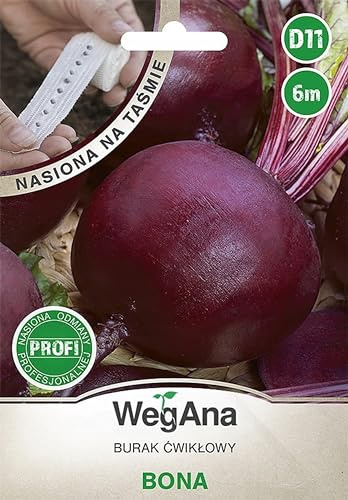 WegAna Bona Semillas de remolacha cinta de semillas 6m, Variedad media tardía, Semillas de hortalizas robustas, Semillas de hortalizas, Cultivo de semillas