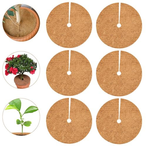 Vmxlso 6 Stück Kokosmatte Winterschutz, 35 cm Kokosmatte Pflanzen, Kokosscheibe Mulchscheibe für Pflanzen,Kokosfasermatte Rund für Topfpflanzen, Frostschutz Kälteschutz Schutz vor Nässe