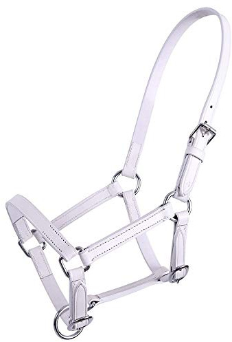 QHP Leather halter for foal Chico