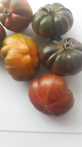 POMODORO CASALINO-SEMI-