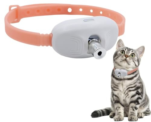 Tomedeks 1 Pièce Jouet Collier Laser pour Chat, Jouets Amusants Électriques pour Chats Qui s'ennuient, Collier Pointeur Intelligents