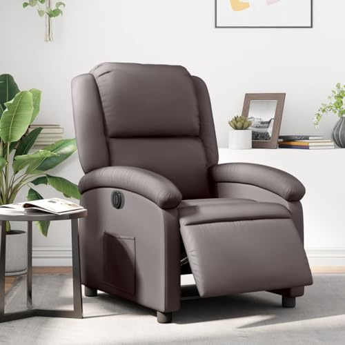 Lumanois Relaxsessel Elektrisch Dunkelbraun Echtleder,23.5kg,3204255