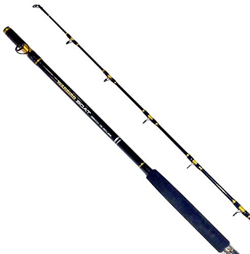 Fladen Angeln – Warbird Boot Carbon Angelrute – 2 Stück Qualität Allrounder für Meer- und Meerangeln (15-30 lbs Klasse) – erhältlich in 1,80 m 1,95 m 2,10 m, Schwarz , 180 cm