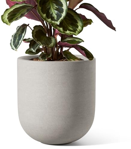 LE TAUCI Maceta de 20 cm, Maceta de Cerámica con Agujero de Drenaje y Tapón de Goma, Maceta de Interior para Hierbas y Plantas Pequeñas, Maceta Cilíndrica para Hogar y Oficina, Gris