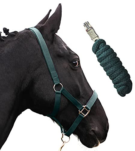 Halfter für Pferde mit Strick | Führstrick Pferd Halfter | Halfter Pony, Vollblut, Full, X-Full mit Strick (Grün, Cob (Vollblut))