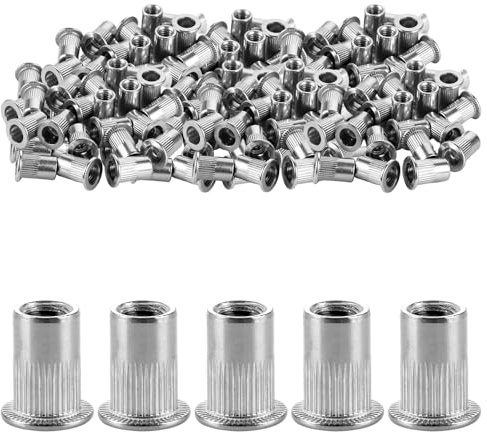 LOLYSIC 200 dadi per rivetti ciechi M6, rivetti filettati in acciaio inox, testa tonda a testa piatta, dadi di rivetto, fissaggio utilizzati per metallo, acciaio, fibra di vetro, plastica