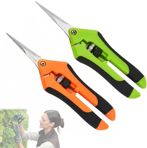 CTENG Lot de 2 sécateurs de jardin avec lames en acier inoxydable, poignée verrouillable, petits sécateurs, ciseaux à bonsaï, ciseaux à roses, ciseaux à plantes pour branches d'arbres, fleurs, fruits