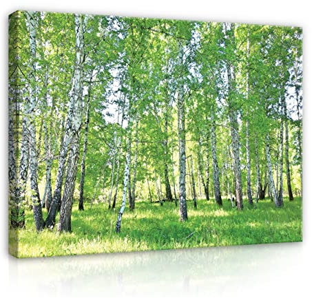 Leinwandbild Wald Grün Natur Landschaft Groß 80x60 cm Modern Canvas Bilder XXL Schlafzimmer Wohnzimmer Wandbild Kunstdruck Wandbilder Wand Bild auf Leinwand Aufhängefertig