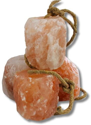 Lyra Horse® | 6 STK. Salzleckstein Himalaya mit Seil - je ca. 2-3 kg | Mineralquelle für Pferde | Natürlich & unbehandelt | Für den Elektrolythaushalt | Ideale Beschäftigung des Pferdes