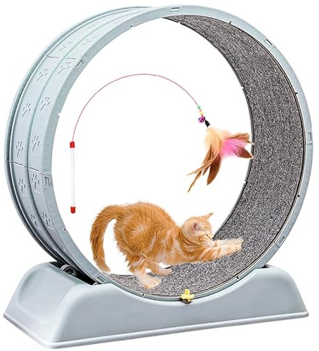 Rueda De Ejercicio para Gatos con Mecanismo De Bloqueo, Cinta De Correr para Gatos De Interior, Ultrassilenciosa, Pasarela Alfombrada Extraíble, Juguete Seguro De Entrenamiento para Gatos