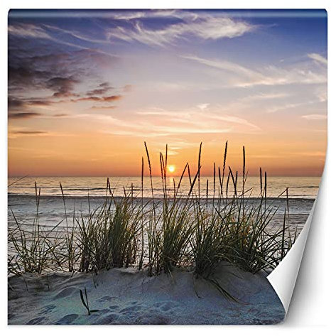 Feeby Papier Peint Intisse Mer Coucher De Soleil 250x250 cm orange Moderne Panoramique XXL Photo Mural Muraux Chambre Bureau Salle Plage Sable Ciel Herbe