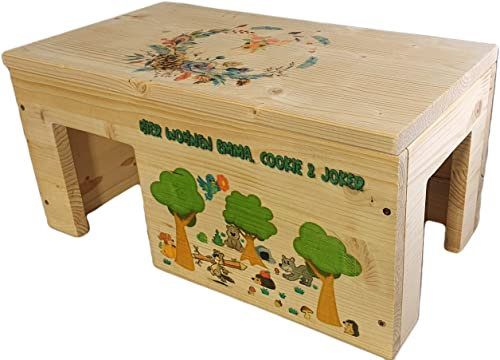 Nagerstore Nagerhaus Meerschweinchenhaus Kleintierhaus XXL mit 2 Eingängen & Motiven