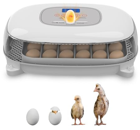 Incubadora de Huevos, Incubadora Huevos Gallina da 24 Huevos con Volteo Automático de Huevos y Humidificación Automática, Control de Temperatura, Lámpara de Huevo, Chasis Desmontable