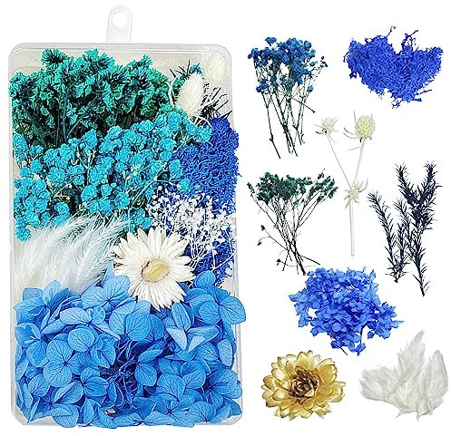 Trockenblumen zum Basteln Trockenblumen Deko Trockenblumen Klein Getrocknete Blumen Deko Trockenblumen Basteln Trockenblumen Set für DIY Basteln Handwerk Epoxidharz Scrapbooking Deko（Blau） C-047D