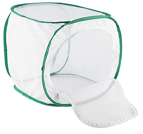 Fdit Großer Schmetterlingskäfig, zusammenklappbarer Caterpillar Habitat Collapsible und Butterfly Habitat Mesh Cage mit Reißverschluss-Schmetterlingshaus MEHRWEG VERPAKUNG(30 *