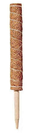 Palo di Muschio, Supporto per Piante Monstera, Bastoncini Impilabili in Fibra di Cocco, Pali di Supporto per Piante Rampicanti da interno, Piante in Vaso, Filodendro (50 cm)