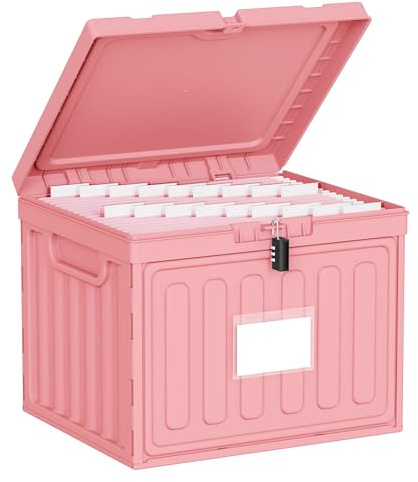 Oterri Plastic File Box with Lid for Letter Size Hanging File Folders, Hanging File Folder Box for Home, Office, School, File Cabinet, Assembly File Organizer, Pink，Large-1 Pack Without Folders