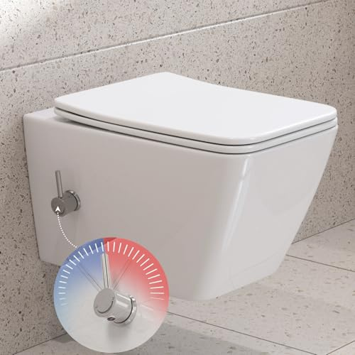 HOROW Doccia WC con ugello integrato, WC sospeso senza bordo di risciacquo, WC con funzione bidet, WC Taharet con nano, doccia WC con rubinetto, coperchio WC con abbassamento automatico, acqua fredda