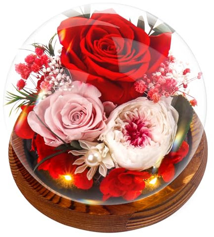 Geschenke für Frauen Muttertagsgeschenk Rose, Ewige Infinity Rosen im Glas, Blumen Geburtstagsgeschenk Mama Freundin,Geschenk für Frau Freundinnen Geburtstag für Jahrestag Geschenk für Sie, Rouge
