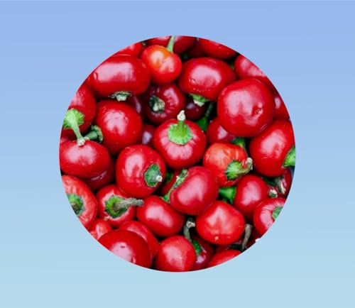 50 graines de piment red cherry small -ciliegia piccante - piment rouge - cherry bomb - Early Jalapeno, 5.000 Scoville