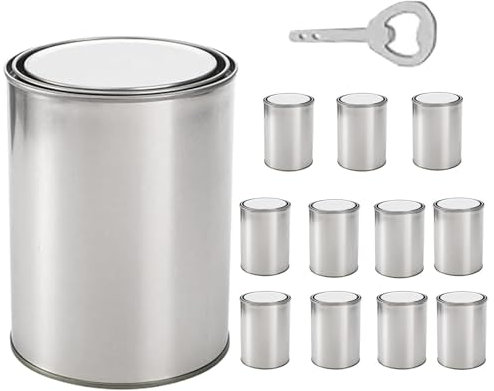 Barattoli di vernice con coperchio, barattoli di vernice senza rivestimento | Barattoli di vernice senza rivestimento - Lattine multiuso vuote in metallo da 0,5 litri con per arti e mestieri, progetti
