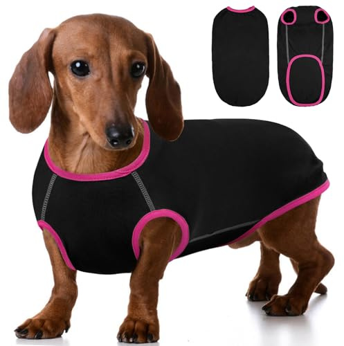 Hjyokuso Pull Chien Teckel, Pull pour Chien Teckel, Sweat Chien Petite Taille, Vêtements Chien Teckel, T-Shirt pour Chien Teckel à Dos Long, Pull-Overs pour Chiens, T-Shirt Extensible Chien - Noir M