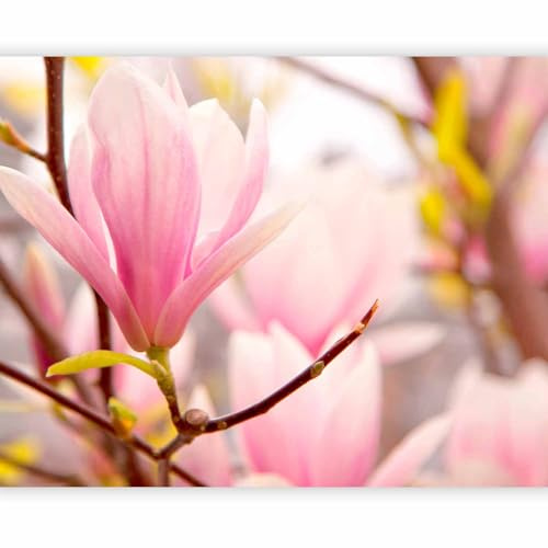 artgeist Wall Mural Magnolia 98x76 in - Non-wovenn Wall Mural Premium Print Fleece Picture Design Image Home Decor Nature Flower Plants Botanical 100406-28
