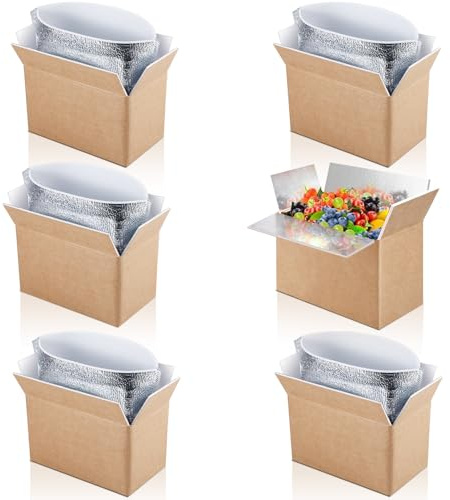 ausurme 6 Pack Double Insulated Shipping Boxes 9 x 6 x 5 Inch | Cold Shipping Boxes with Aluminum Foil Insulated Bag, for Frozen Food Packing Mailing