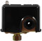 ELAYARD Druckschalter Wasserpumpensteuerung Wellwasserpumpe Wasserpumpendruckregler Schwimmerschalter der Sumpfpumpe Stahl Black
