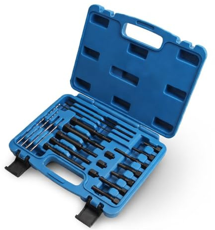 Estrattore Candelette 22 Pezzi, Kit Rimozione M8 M10 M10x1.25 Con Punte E Maschi Filettatori Per Estrarre Elementi Spezzati In Motori Diesel Con Valigetta