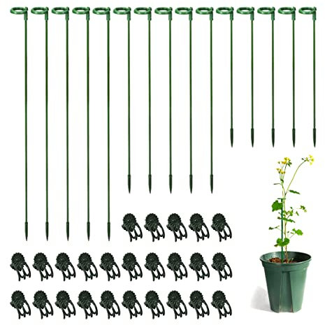 30 Sets Small Plant Stakes for Indoor Plants, 3 Size 6.7/10.6/14.6 Inches