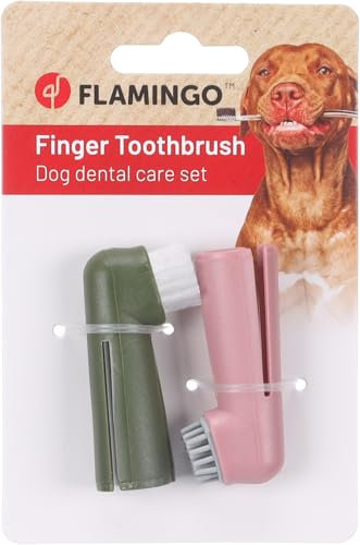 Flamingo Dentes – 2er-Set Fingerzahnbürsten für Hunde & Katzen – 1,7 × 2,5 × 6 cm – Entfernt Zahnstein & massiert das Zahnfleisch – Aus robustem Kunststoff