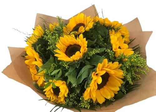 DECOALIVE| Ramo de Girasoles Naturales| Ramo Perfecto para Regalar