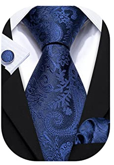 Barry.Wang Tie Pocket Square Cufflinks for Men Set Designer Ties Paisley (Navy Blue Paisley)