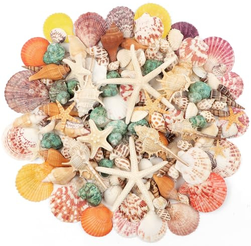 Fangoo 1.5 LB Mixed Sea Shells, 130+ PCS Beach Seashells Starfish Oyster Shells Various Sizes Ocean Seashells for Fish Tank Vase Fillers Beach Theme Party Wedding Decor DIY Crafts Home Decorations