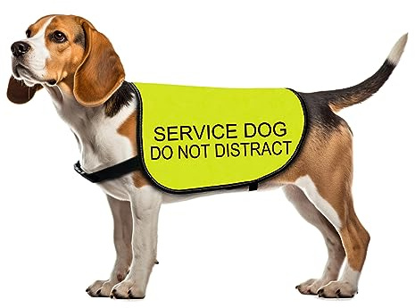 Service Dog Jacket - Do Not Distract Slogan Warning Vest (Service Dog Distract-Large)