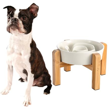 Gamelle Anti-Glouton Surélevée pour Chien - Bol en Céramique avec Support en Bambou - Idéale pour Chiens de Petite et Moyenne Taille - Blanc Lait - 17 cm