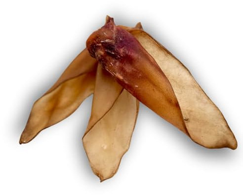 Hundesnack | Kausnack für Hunde | Rinderohren Kingsize | mit Muschel in XXL (100 Stück)