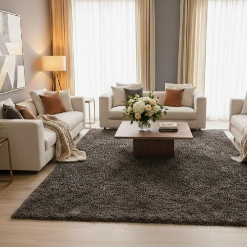 Alfombra Pelo Largo y Grueso “Sueños” – 3 Colores, 8 Tamaños – Suave, Moderna y Acogedora para Salón, Dormitorio o Oficina- 40 x 60 cm Antracita