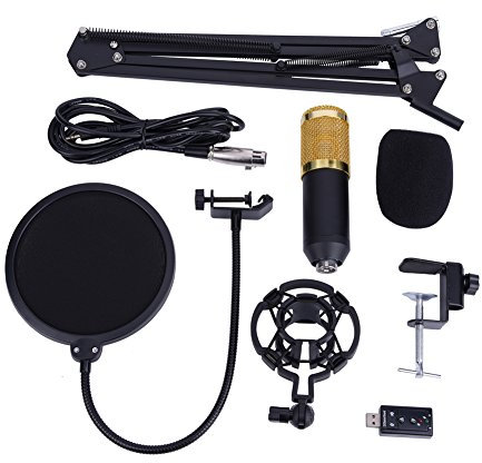 Microphone BM-800 Condensateur Réglable avec Support à Ciseaux Suspension