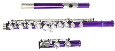 16 Håls C Flöjt Förnicklad Mässing Rosa Träblåsinstrument Nybörjarflöjt | Flöjt(Purple)