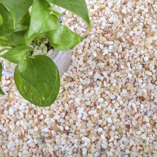 CJGQ 18lb Aquarium Gravel for Plants, 1/5Inch Outdoor Decorative River Rocks for Succulents and Cactus Landscaping, Garden Plant Natural Small Pea Gravel for Fish Tank Vases Terrarium
