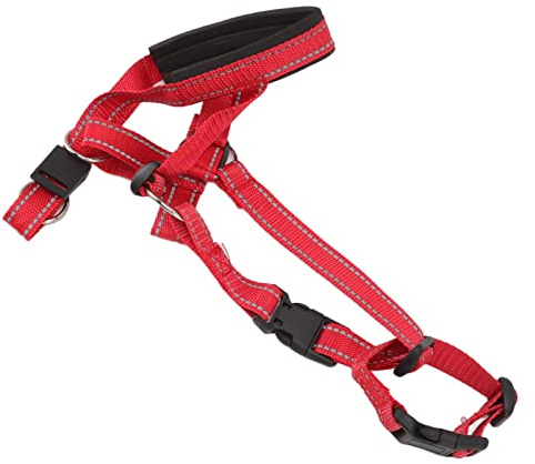 Yinhing Hundgrimma Huvudhalsband Hundgrimma D Hundmunkorgshalsband Andas Nylon Hundmunskydd för Små/medelstora Hundar Bitande Hund Utomhusbruk Orange Storlek L (L)