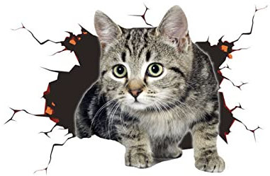 3D Katze Aufkleber, Autoaufkleber, Niedliche Katze Dekorationen Benutzerdefinierte Auto Stoßstange Aufkleber Kratzer Thema Wand Aufkleber Stil 3