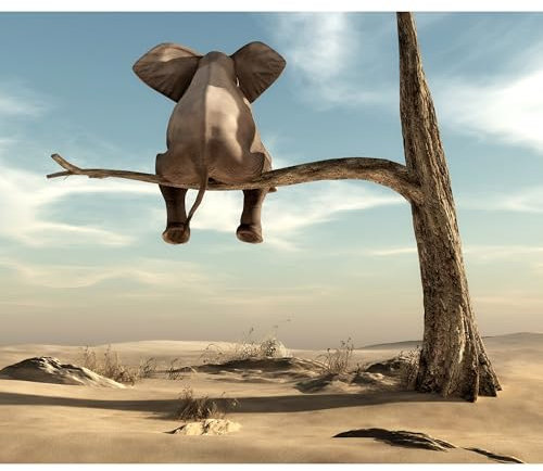 decomonkey Fototapete für Kinder Elefant 250x175 cm XL Tapete Fototapeten Vlies Tapeten Vliestapete Wandtapete moderne Wandbild Wand Schlafzimmer Wohnzimmer Kinderzimmer Tiere Landschaft