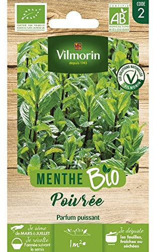 Vilmorin Menthe Poivree bio
