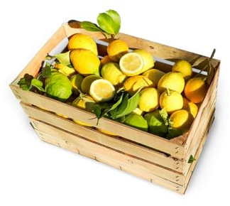 Estock1food Limoni freschi non Trattati 100% Biologici 10KG CALIBRO MISTO Prodotti in Sicilia buccia edibile prodotto top