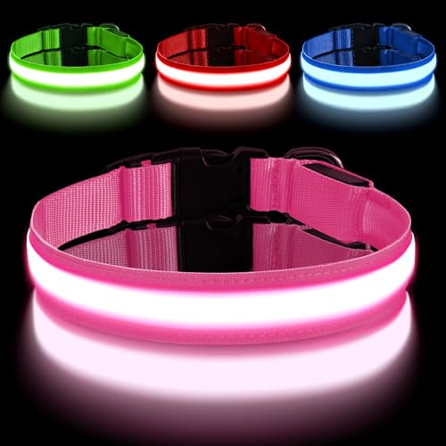 AUAUY Collier Lumineux LED Rechargeable pour Chien, avec Port Type-C, Collier LED Chien Réglable avec 3 Modes D'éclairag, Imperméable, pour Petits, Moyens et Grands Chien (M, Rose)