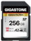 [5-Yrs Free Data Recovery] GIGASTONE A2 V60 256GB SDXC 4K Camera Pro Memory Card 120MB/s Speed Compatible with Canon Nikon Sony Panasonic U3 UHS-I Class 10 Camera for 4K UHD Video with 1 Mini Case