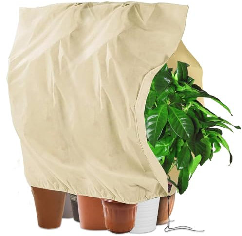 Aoreun Housse Hivernage Plante, 200cm x 240cm Housses de Protection Contre Le Gel pour Plantes d'hiver Con Ajustable avec Cordon de Serrage à Glissière pour Arbre, Palmiers - Respirant, indéchirable